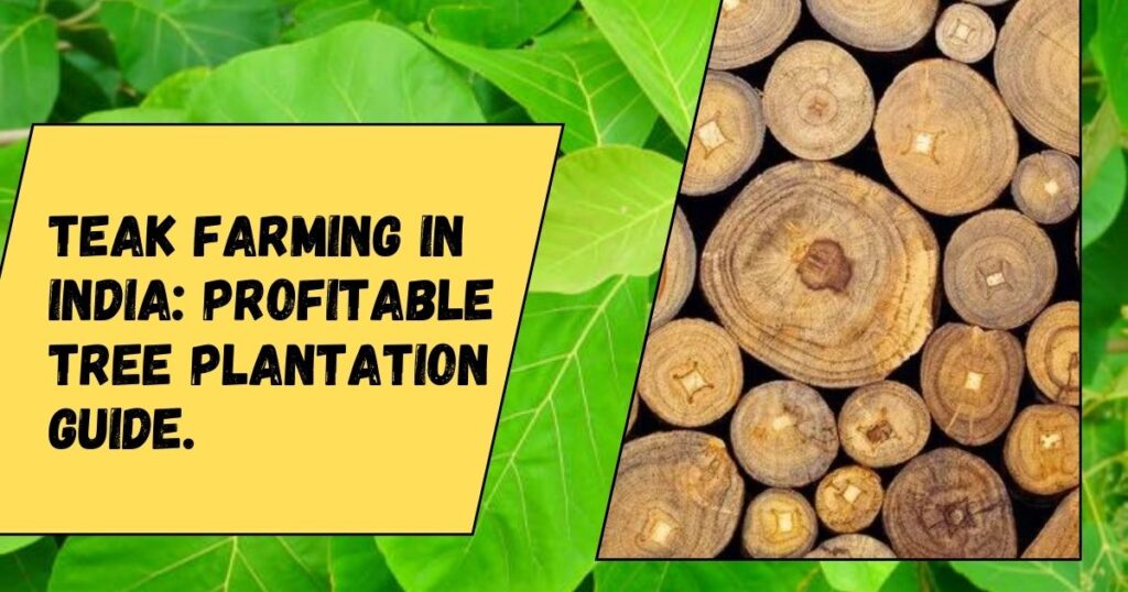 Teak Farming in India: Profitable Tree Plantation Guide.