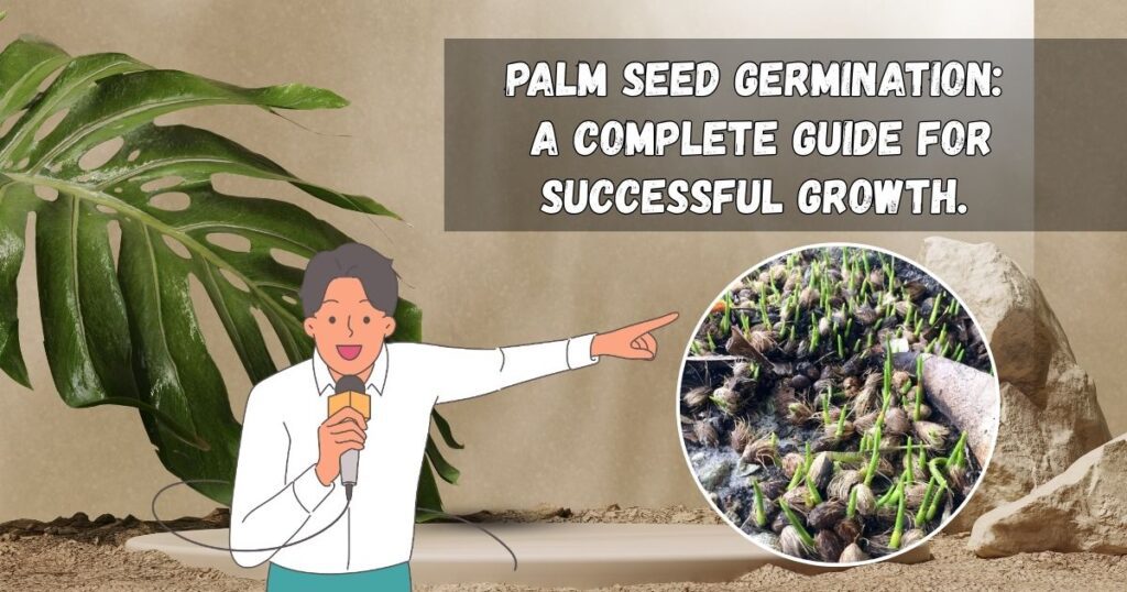 Palm Seed Germination: A Complete Guide for Successful Growth