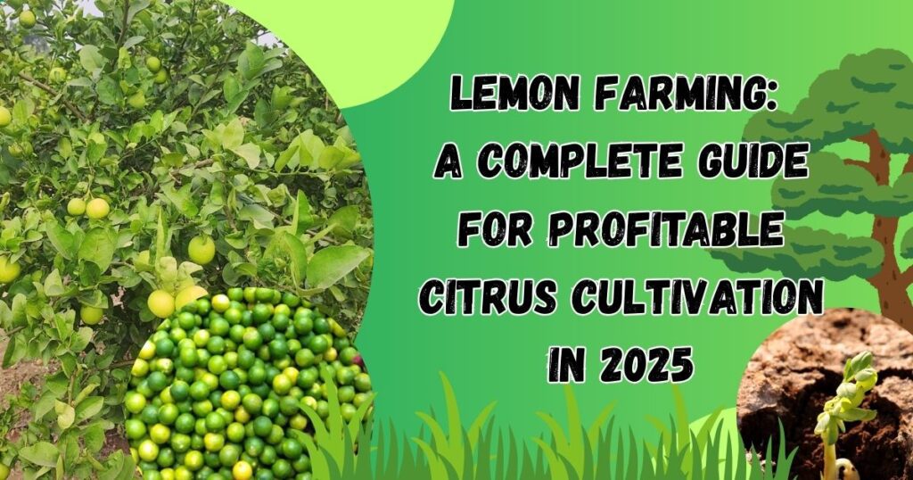 Lemon Farming: A Complete Guide for Profitable Citrus Cultivation in 2025