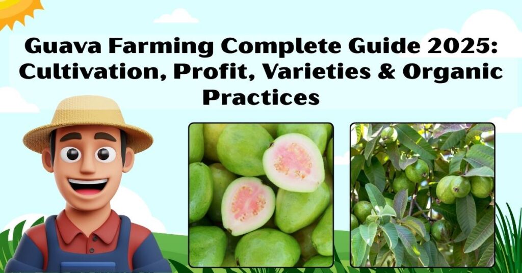 Guava Farming Complete Guide 2025: Cultivation, Profit, Varieties & Organic Practices