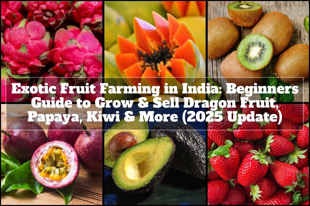 Exotic Fruit Farming in India: Beginners Guide to Grow & Sell Dragon Fruit, Papaya, Kiwi & More (2025 Update)