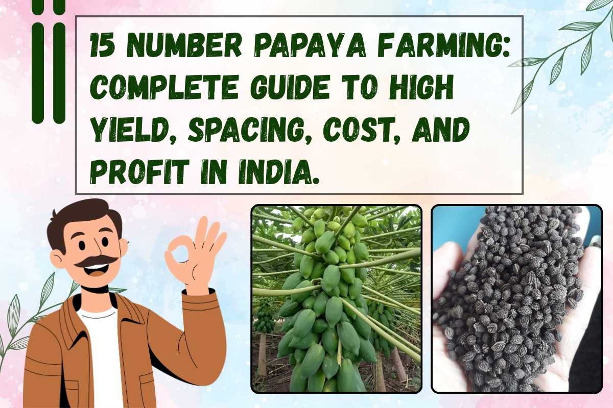 Best Crops to Grow for High Profit in 2025 (Low Investment Farming Ideas)