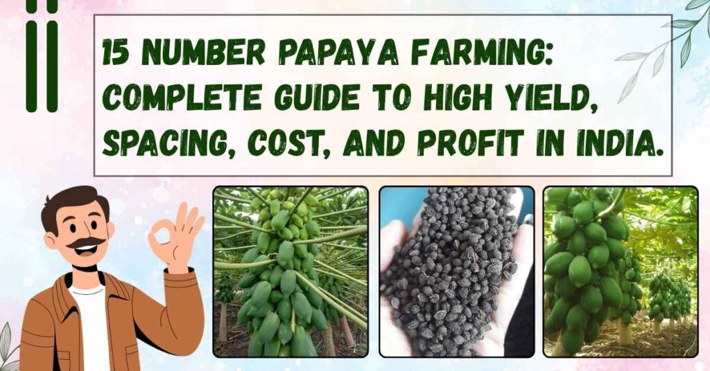 Best Crops to Grow for High Profit in 2025 (Low Investment Farming Ideas)