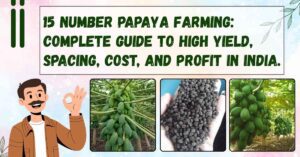 Best Crops to Grow for High Profit in 2025 (Low Investment Farming Ideas)
