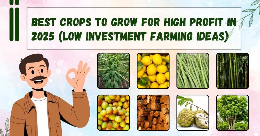 Best Crops to Grow for High Profit in 2025 (Low Investment Farming Ideas)