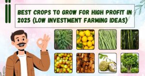 Best Crops to Grow for High Profit in 2025 (Low Investment Farming Ideas)