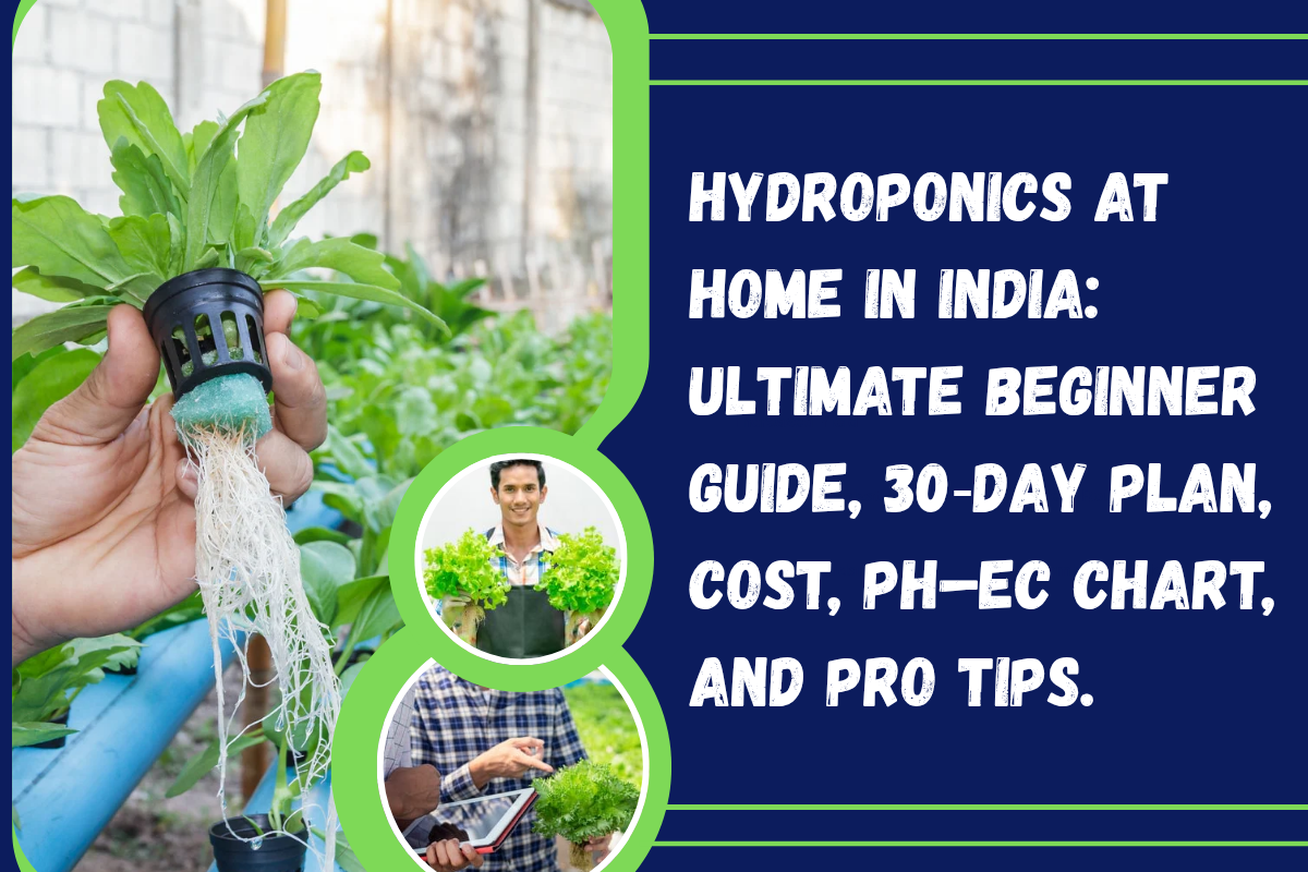 Hydroponics at Home in India: Ultimate Beginner Guide, 30‑Day Plan, Cost, pH–EC Chart, and Pro Tips.