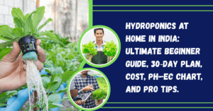 Hydroponics at Home in India: Ultimate Beginner Guide, 30‑Day Plan, Cost, pH–EC Chart, and Pro Tips.