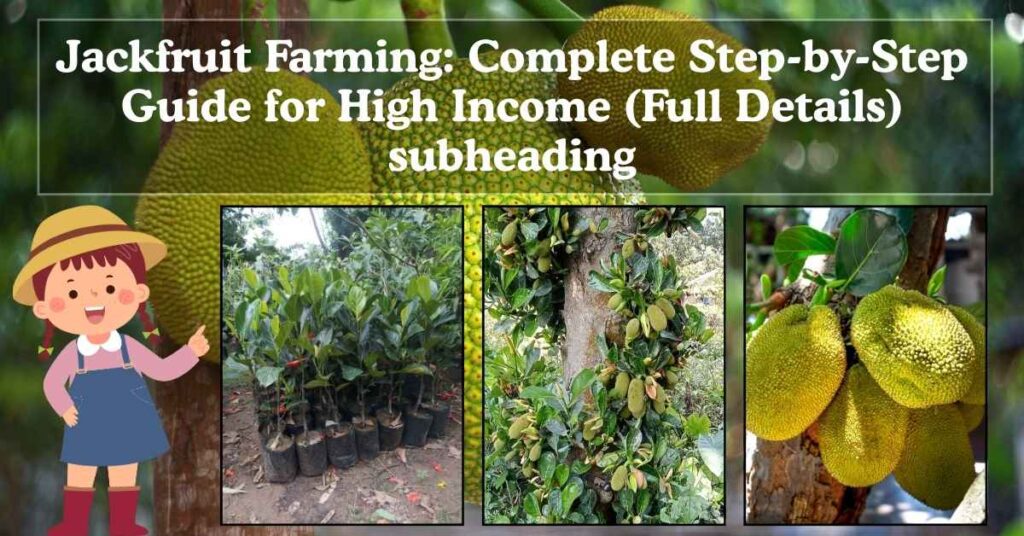 Jackfruit Farming: Complete Step-by-Step Guide for High Income (Full Details)