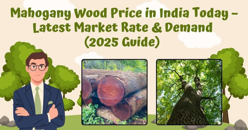 Mahogany Wood Price in India Today – Latest Market Rate & Demand (2025 Guide)