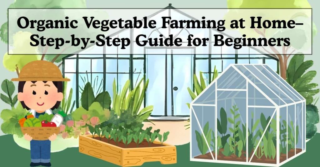 Organic Vegetable Farming at Home – Step-by-Step Guide for Beginners