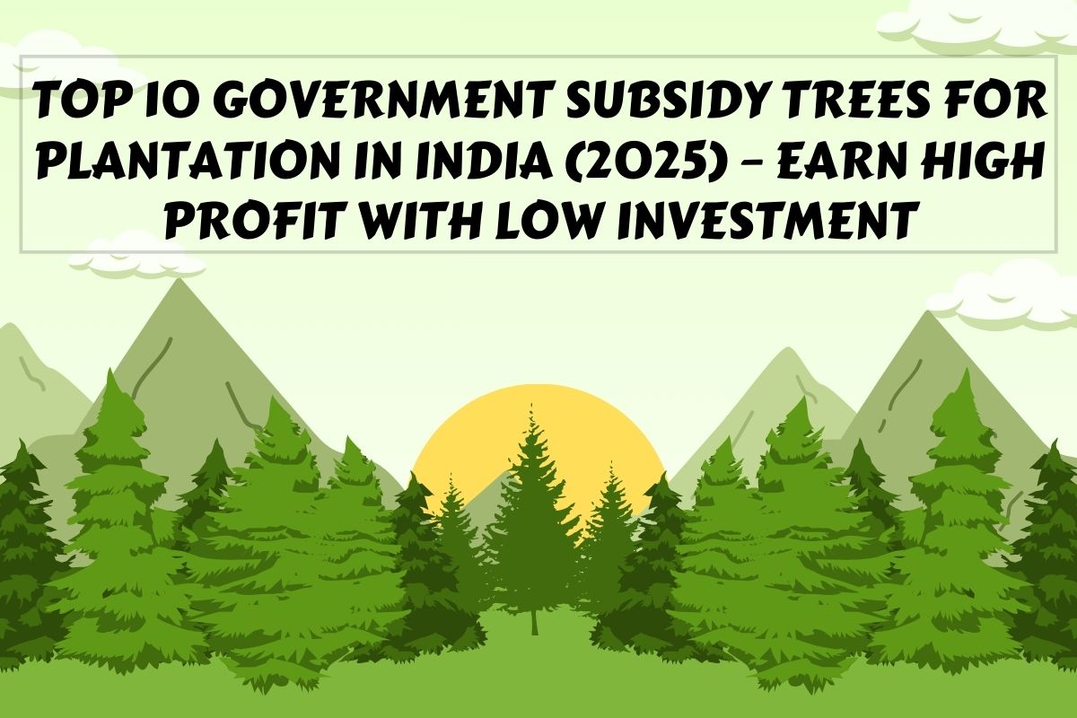 Top 10 Government Subsidy Trees for Plantation in India (2025) – Earn High Profit with Low Investment