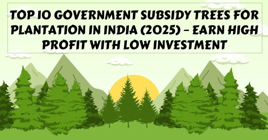 Top 10 Government Subsidy Trees for Plantation in India (2025) – Earn High Profit with Low Investment