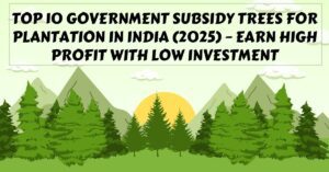 Top 10 Government Subsidy Trees for Plantation in India (2025) – Earn High Profit with Low Investment